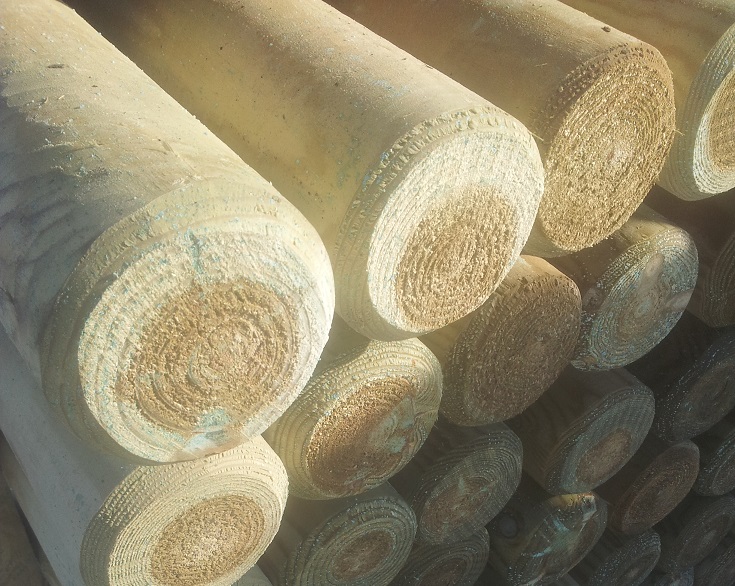 MEZZI PALI IN LEGNO DI PINO NORDICO TORNITI IMPREGNATI- TRATTATI CLASSE - Foto 5