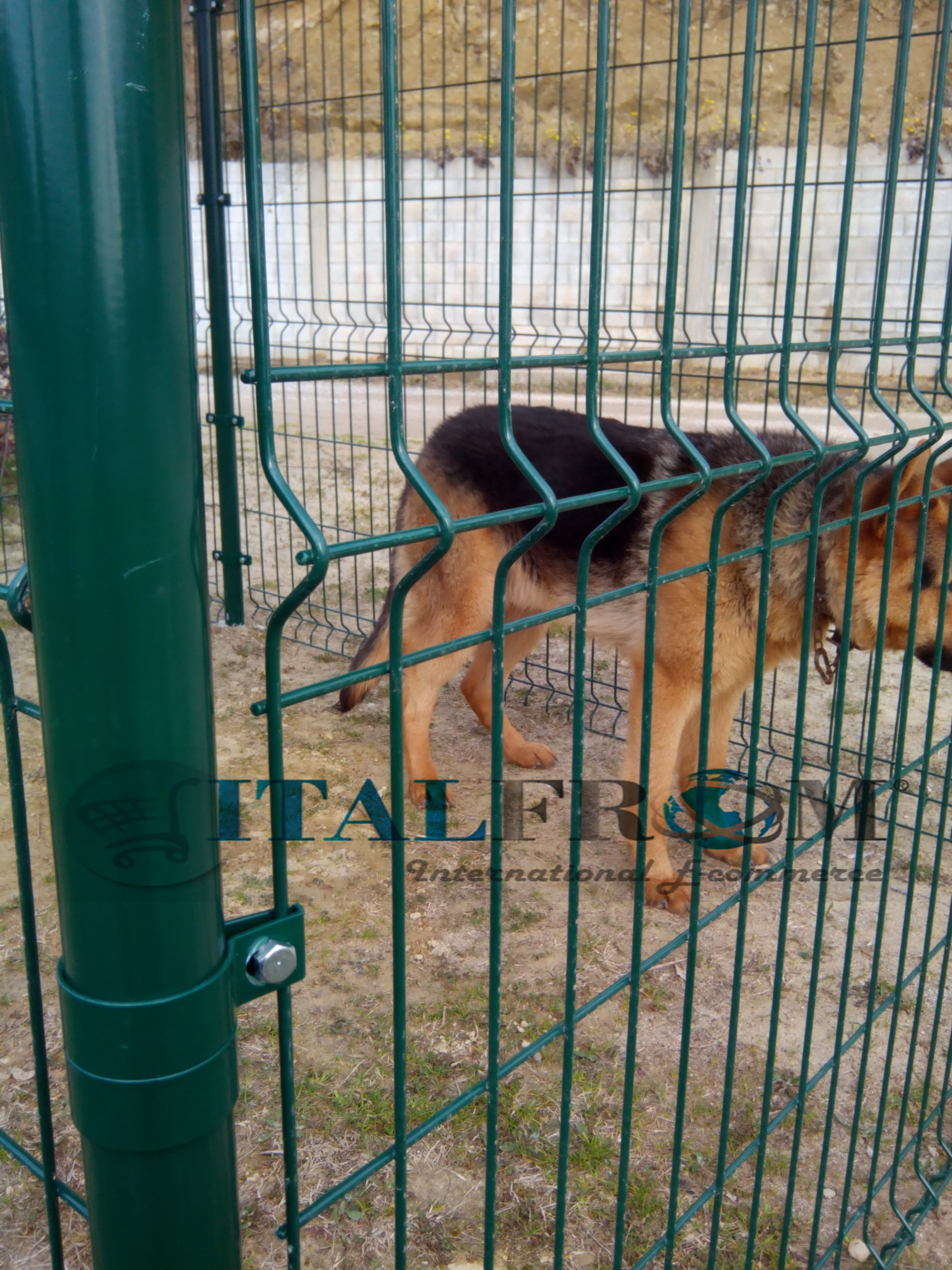 Box recinto modulare per cani in ferro zincato plastificato verde ...